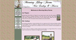 Desktop Screenshot of morninggloryminidonkeys.com