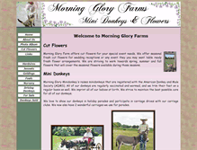 Tablet Screenshot of morninggloryminidonkeys.com